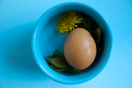 Eggs, flower on a colored backgroundの写真素材