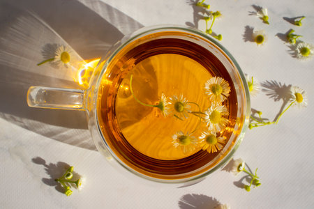 Tea with fresh chamomile on a light backgroundの写真素材