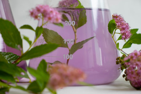 Laboratory flask with flowers backgroundの写真素材