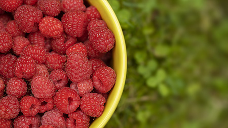Close up of ripe raspberries in a yellow bowl on a gren grass backgroundの写真素材