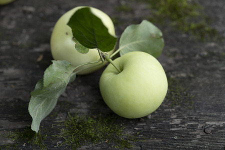 Pale yellow apples on a dark wooden surface.Pale yellow apples on a dark old  wooden table.の写真素材