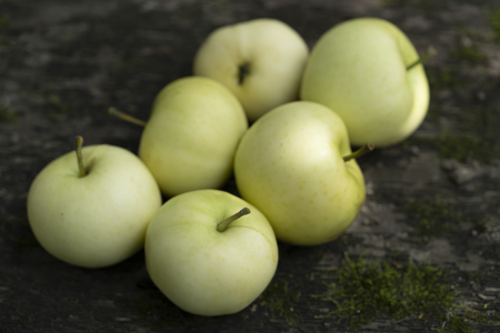Pale yellow apples on a dark wooden surface.Pale yellow apples on a dark old  wooden table.の写真素材