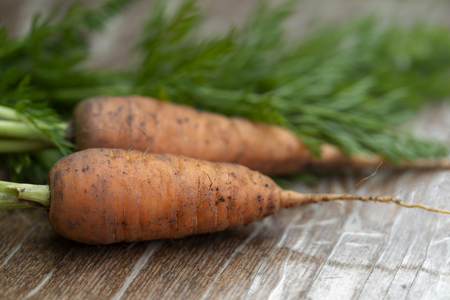 Two carrots on old wood tableの写真素材