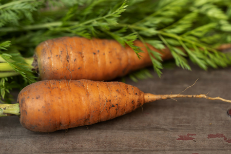 Two carrots on old wood tableの写真素材