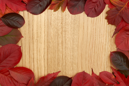 Autumn red leaves frame on a wooden background.の写真素材