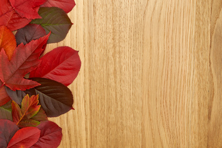Autumn red leaves border on a wooden background.の写真素材