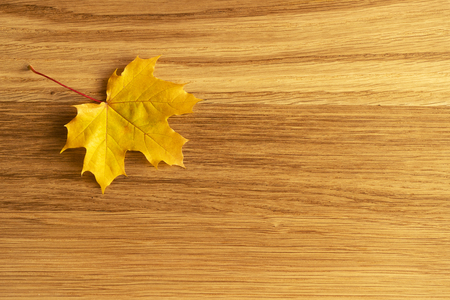Maple tree leaf on a a wooden background.の写真素材