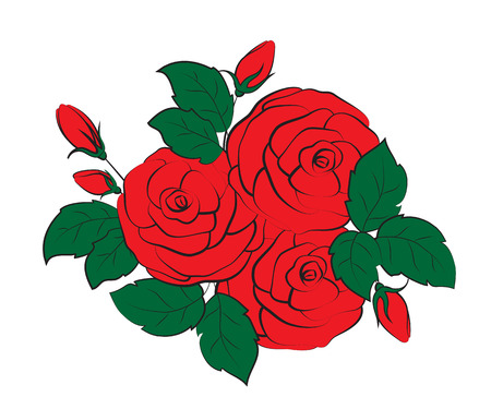 Bouquet of roses, red buds and green leaves. Vector illustration.のイラスト素材
