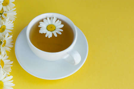 Herbal chamomile tea with fresh chamomile flowers in a transparent glass cup on a light background. Horizontal position Copy space.の写真素材
