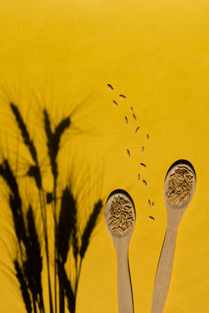 Cereal crop on a yellow background. Wooden spoons, spikelets with hard shadows. Natural raw materials for food. Vertical position. Copy space.の写真素材