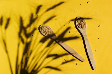 Cereal crop on a yellow background. Wooden spoons, spikelets with hard shadows. Natural raw...