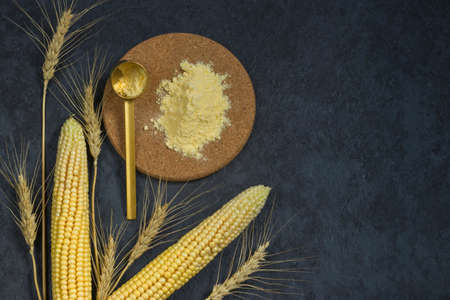 Fresh corn on the cob and corn flour on  dark