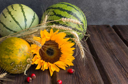 Autumn nature concept. Fruits and vegetables on a wooden background. Thanksgiving Dinnerの写真素材