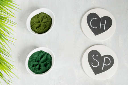 Chlorella and spirulina powder on a light background. Green superfood detox for the vegetarian diet....