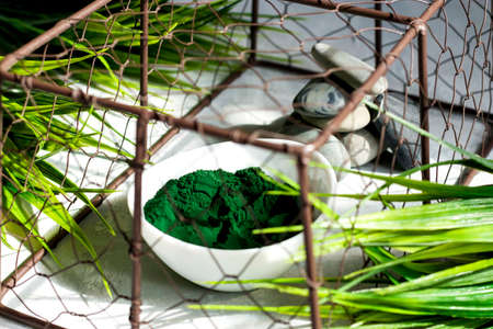 Spirulina powder on a light background. Healthy food supplement for vegan, vegetarian or plant-based...