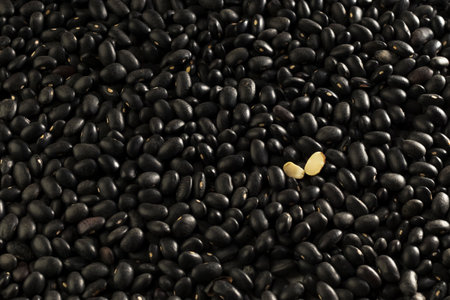 Texture of green beans mung bean Agricultural products background. Vegetarian and vegan organic products. View from above. Vertical positionの写真素材