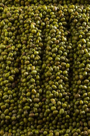Texture of green beans mung bean Agricultural products background. Vegetarian and vegan organic products. View from above. Vertical positionの写真素材