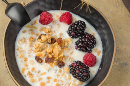 Close-up of a bowl of homemade granola with fresh berries and vegetable milk on a light background....