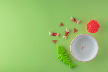 Ceramic bowl for animals. Accessories and grass on a green background. top view. copy spaceの写真素材