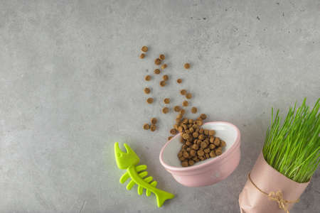 Useful herb, tasty and healthy animal food. A bowl with food for cats or dogs and accessories on a light background. top view. copy spaceの写真素材