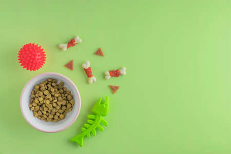 Food for cats or dogs in a bowl. Useful herb, tasty and healthy animal food. Accessories on a green background. top view. copy spaceの写真素材