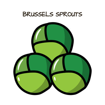 Icon brussel sprouts on a white background. Illustration with the vegetables for design food products, advertising products, environmental articles, dietary recommendations.のイラスト素材