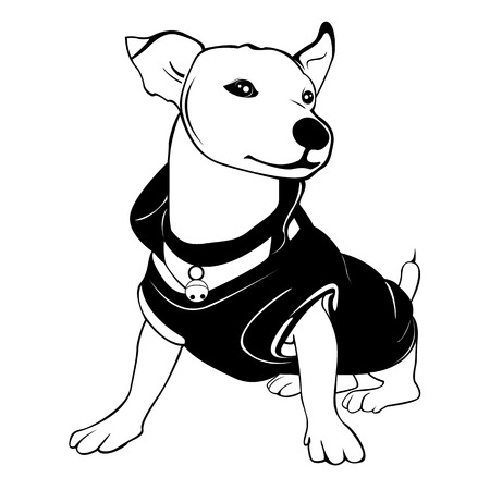 White dog is wearing the black shirt. He is sitting and smiling.のイラスト素材