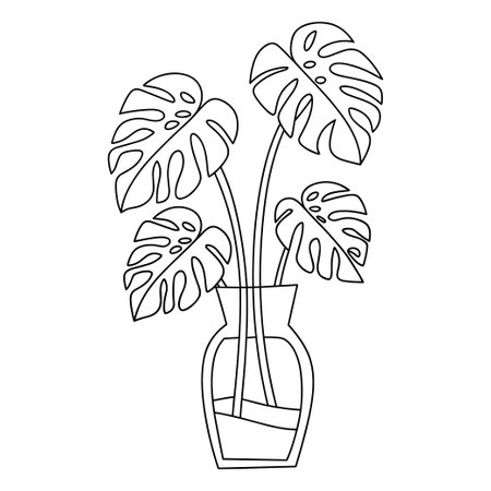 A drawing of a plant monsterrs leaves in vase. Vector doodle coloring pageのイラスト素材