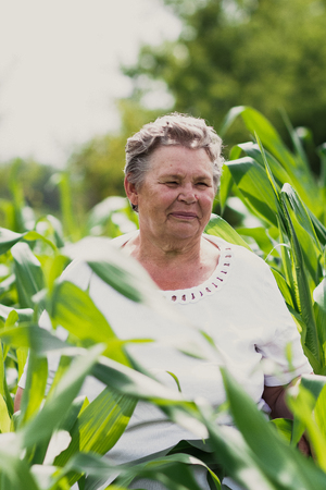 Beautiful old woman standing in the tall green grassの写真素材