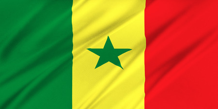 Flag of Senegal waving in the windの写真素材