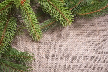 Spruce branches on sackcloth. Christmas frame for the placement of your image.の写真素材