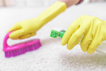 Clean the carpet brush and spray. Focus on the spray.の写真素材