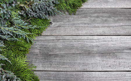 Beautiful greens on a wooden background. Close-up.の写真素材