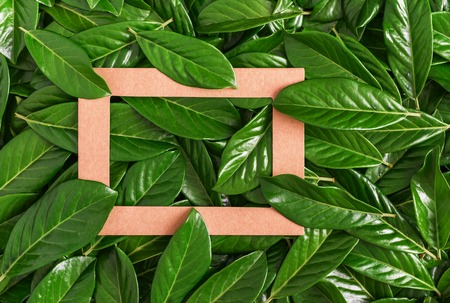 Cardboard frame among the green leaves. Close-up.の写真素材