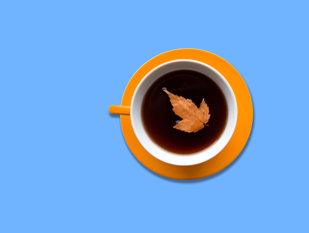 Fallen autumn leaf in a yellow cup on a blue background.の写真素材