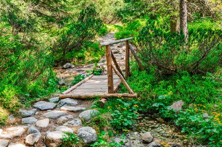 Wooden bridge over a stream in the forest.の写真素材
