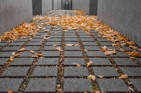 Holocaust memorial in Berlin, Germany.のeditorial素材