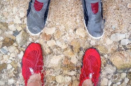 Male and female feet in swimming slippers.の写真素材