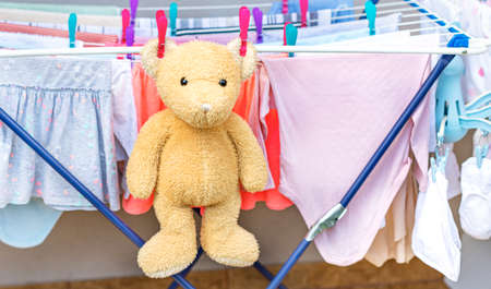 Soft toy bear dries after washing.の写真素材