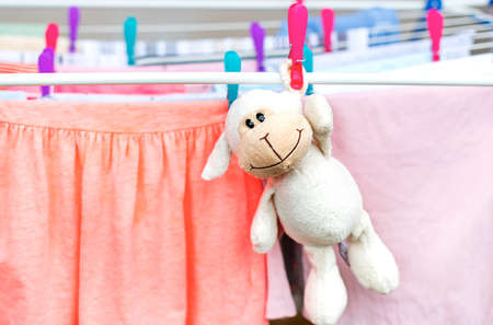 The soft toy is dried in a dryer.の写真素材