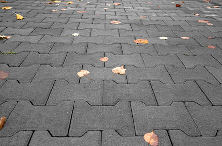 Wet autumn cobblestone with fallen leaves.
