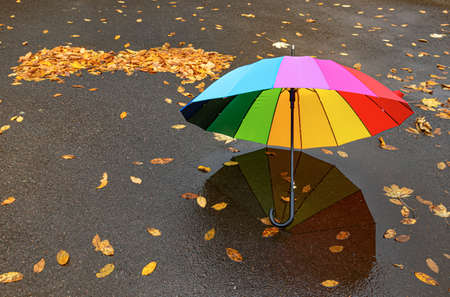 A bright umbrella on the wet asphalt.の写真素材