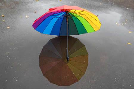 A multi-colored umbrella in a puddle.の写真素材