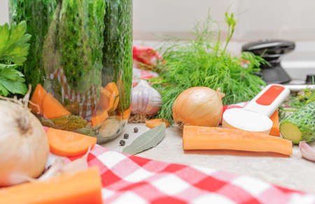 A set of vegetables and spices for cucumber marinade.の写真素材