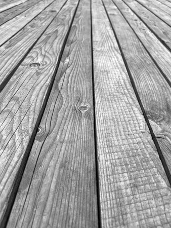 Wooden thin boards of the platform.の素材 [FY310209998664]