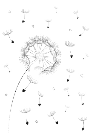 Dandelion flower seeds in a heart shape flying in the air isolated on the white backgroundのイラスト素材