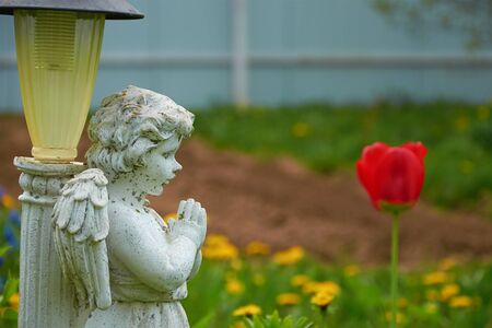 garden lights in the form of a statue of an angel and red Tulipの写真素材