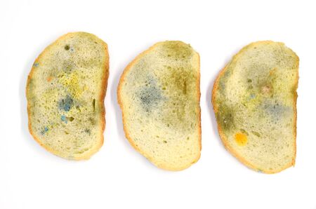 three slices of bread covered with mold, isolated on a white backgroundの写真素材