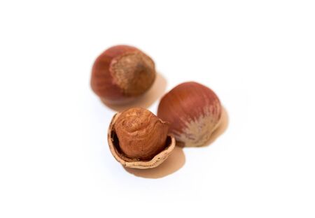 Split hazelnut, kernel and shell close-up isolated on white background