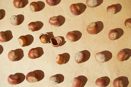 Hazelnut pattern on a brown background close upの写真素材